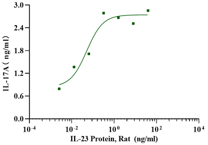 IL-23 Protein, Rat