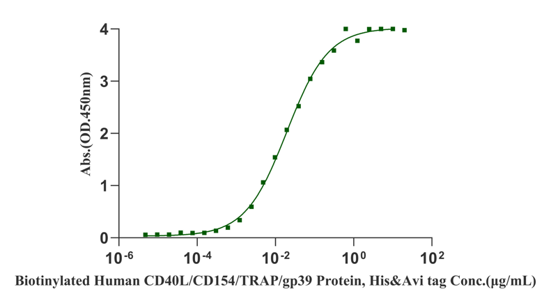CD40 His Tag Protein, Human
