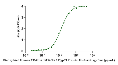CD40 His Tag Protein, Human