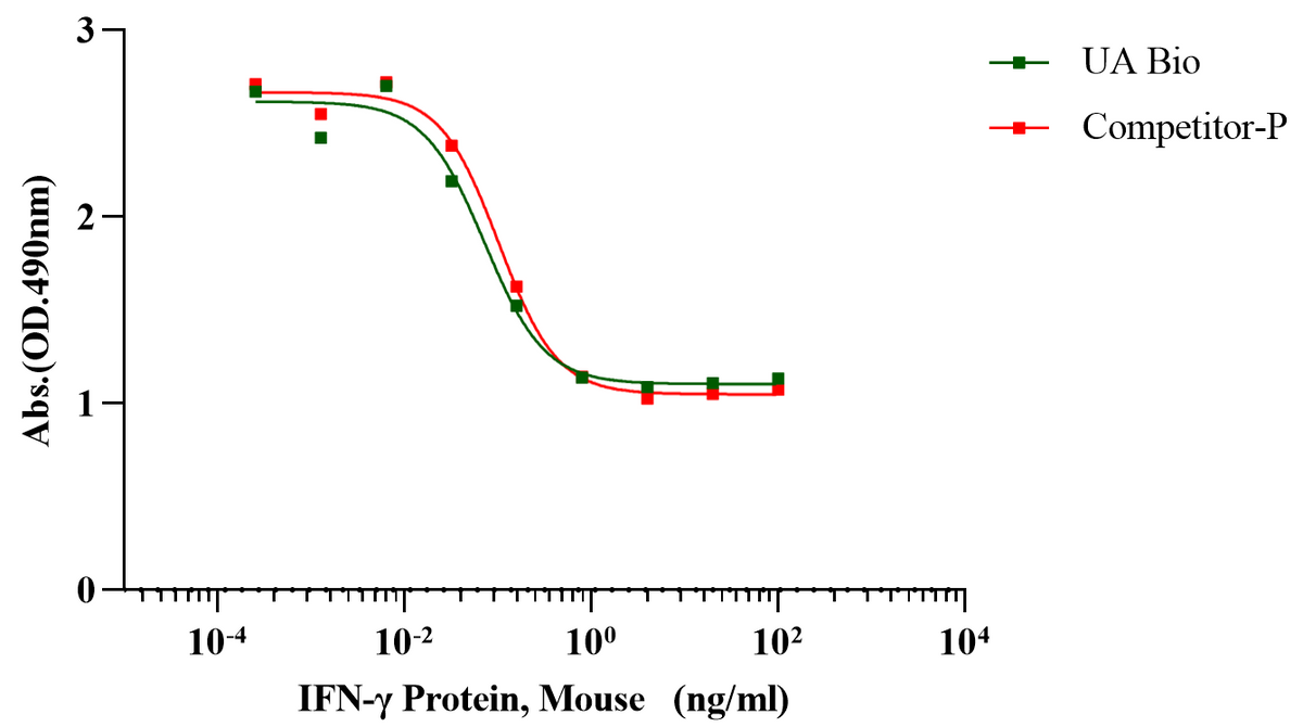 IFN-γ Protein, Mouse