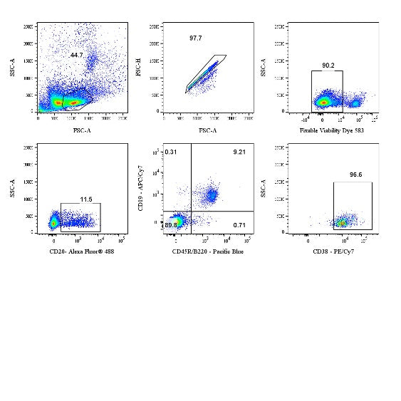 Mouse B Cell Panel Kit