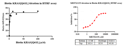 Biotin-KRAS[Q61L] Protein, Human(Load GDP/GMPPNP)