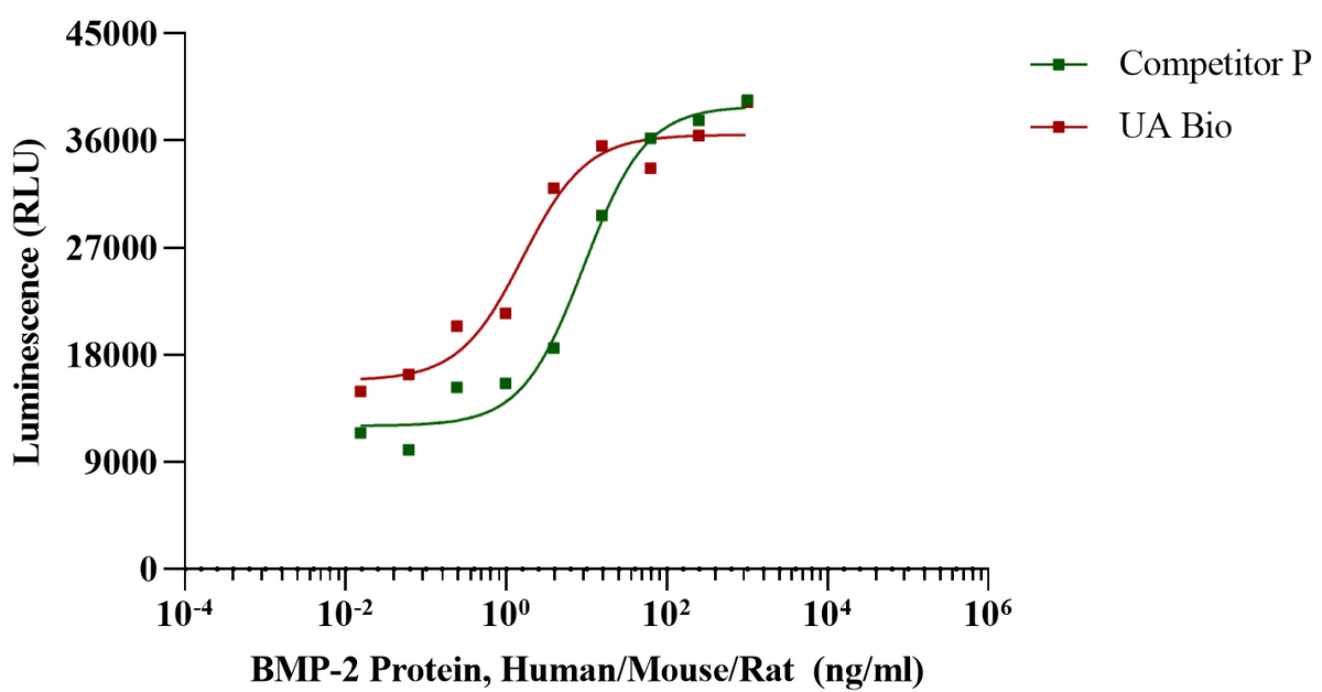 BMP-2 Protein, Human/Mouse/Rat