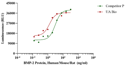 BMP-2 Protein, Human/Mouse/Rat