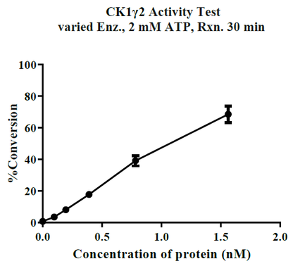 CSNK1G2(CK1γ2) GST Tag Protein, Human
