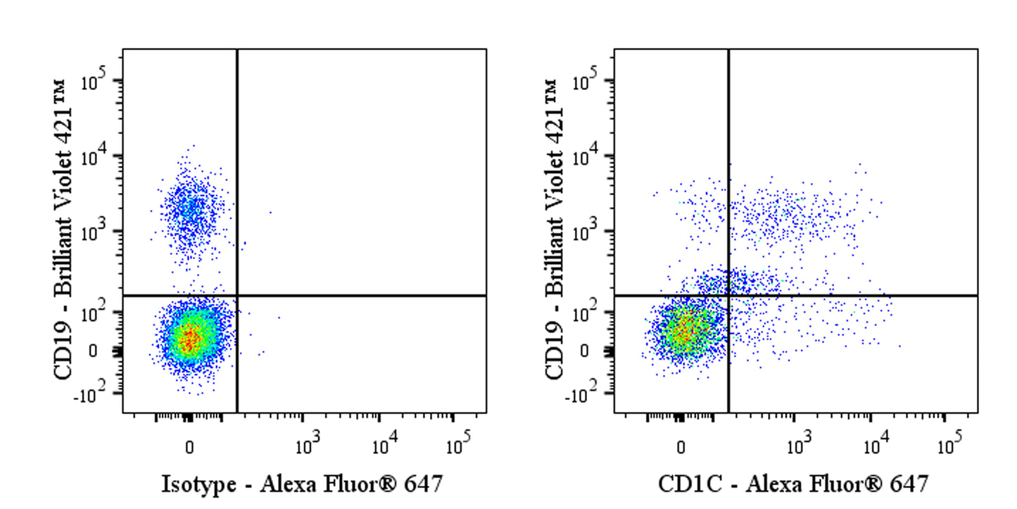 Alexa Fluor® 647 Mouse Anti-Human CD1c Antibody (L616)