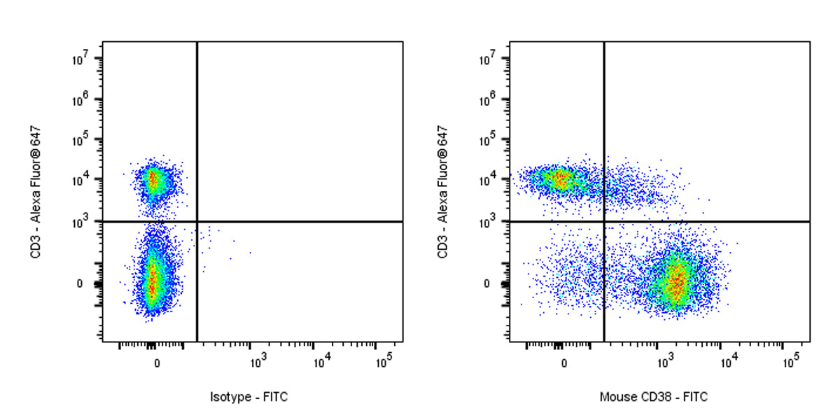 FITC Rat Anti-Mouse CD38 Antibody (90)