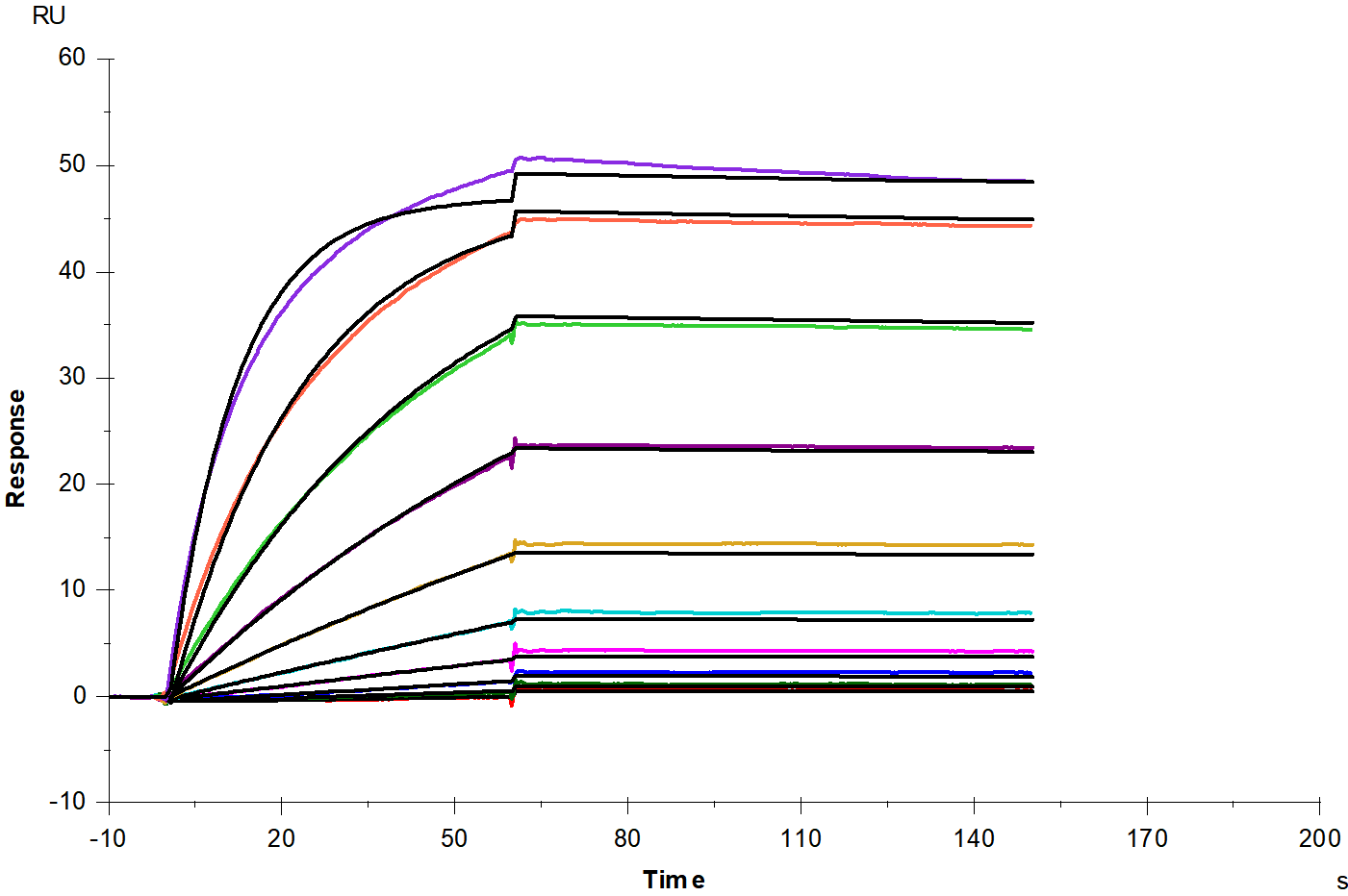 Biotinylated CD19 His&Avi Tag Protein, Human