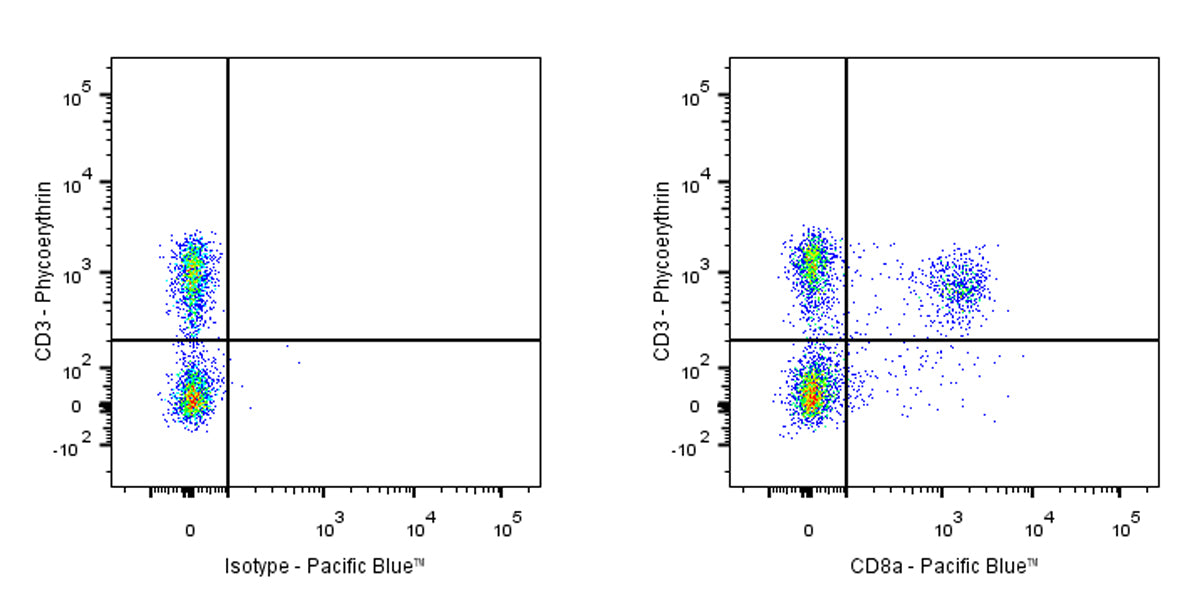 Pacific Blue Rat Anti-Mouse CD8a Antibody (53-6.7)