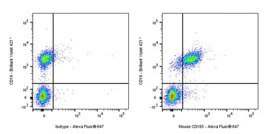 Rat Anti-Mouse CD185 Antibody (S-R600)