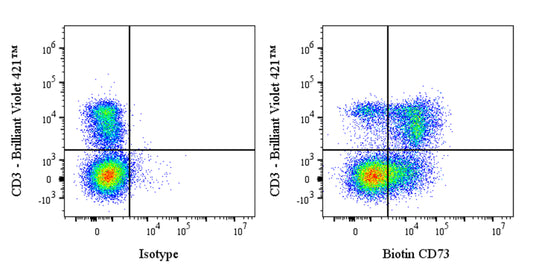 Biotin Rat Anti-Mouse CD73 Antibody (S-R636)