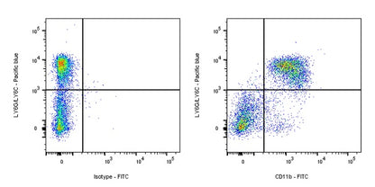 FITC Rat Anti-Mouse/Human CD11b Antibody (M1/70)