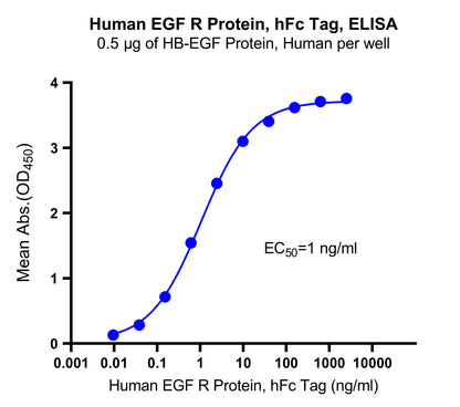 Human EGF R Protein, hFc Tag