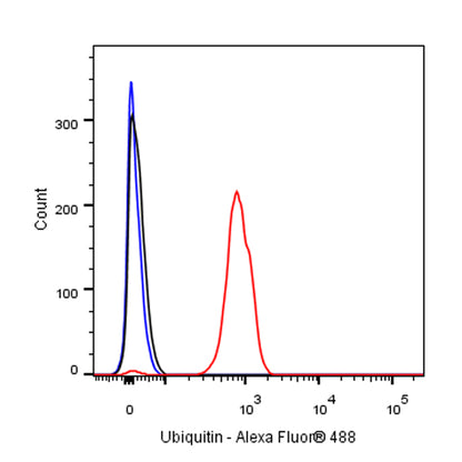 Ubiquitin Rabbit mAb (SDT-R095)