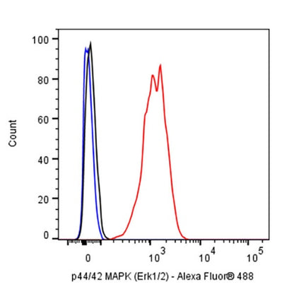 p44/42 MAPK (Erk1/2) Recombinant Rabbit mAb (S-3600)