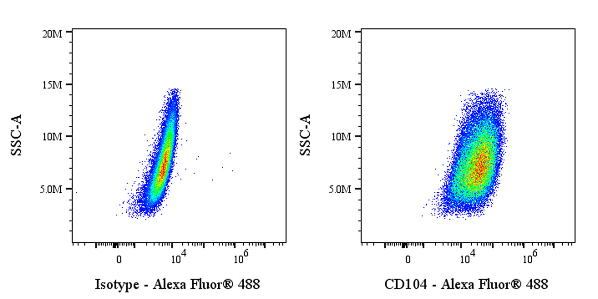 Alexa Fluor® 488 Rat Anti-Mouse CD104 Antibody (S-R716)