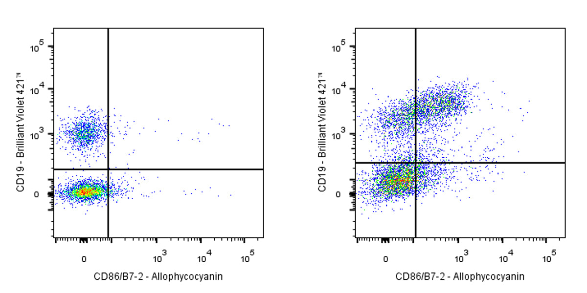 APC Rat Anti-Mouse CD86/B7-2 Antibody (GL-1)