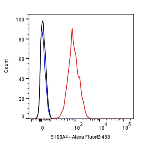 S100A4 Recombinant Rabbit mAb (S-1655-26)