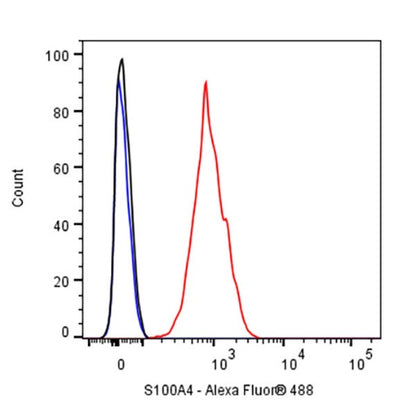 S100A4 Recombinant Rabbit mAb (S-1655-26)
