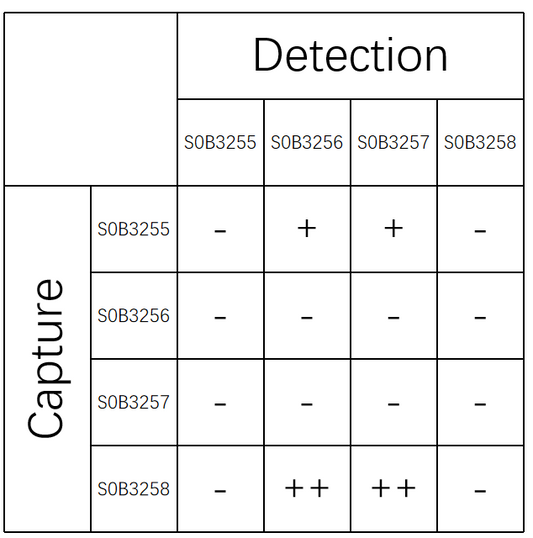KIM-1 Recombinant Rabbit mAb (SDT-932-14-2)