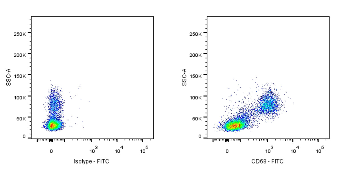 FITC Mouse Anti-Human CD68 Antibody (Y1/82A)