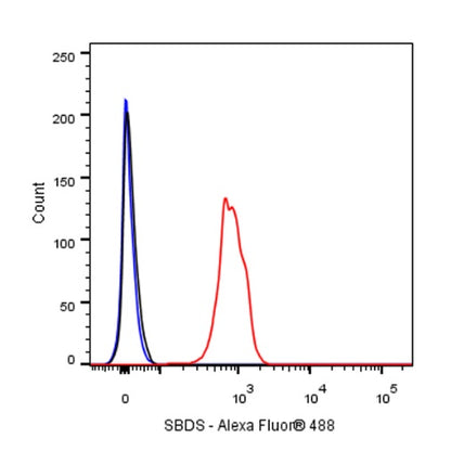 SBDS Recombinant Rabbit mAb (S-R344)