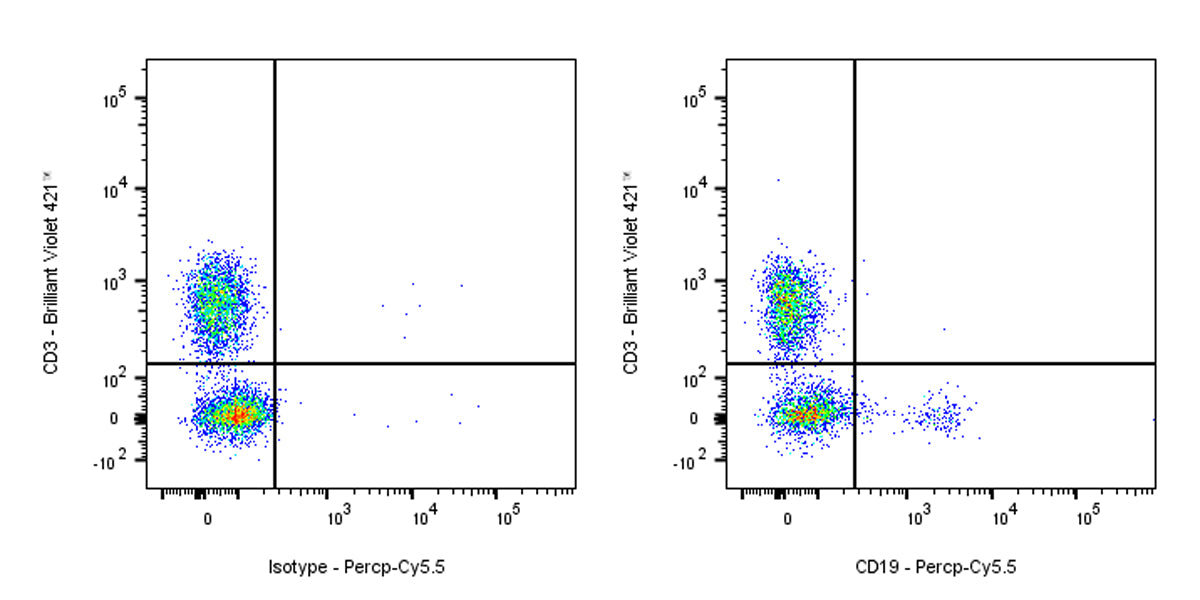 PerCP-Cy5.5 Mouse Anti-Human CD19 Antibody (S-R503-2)