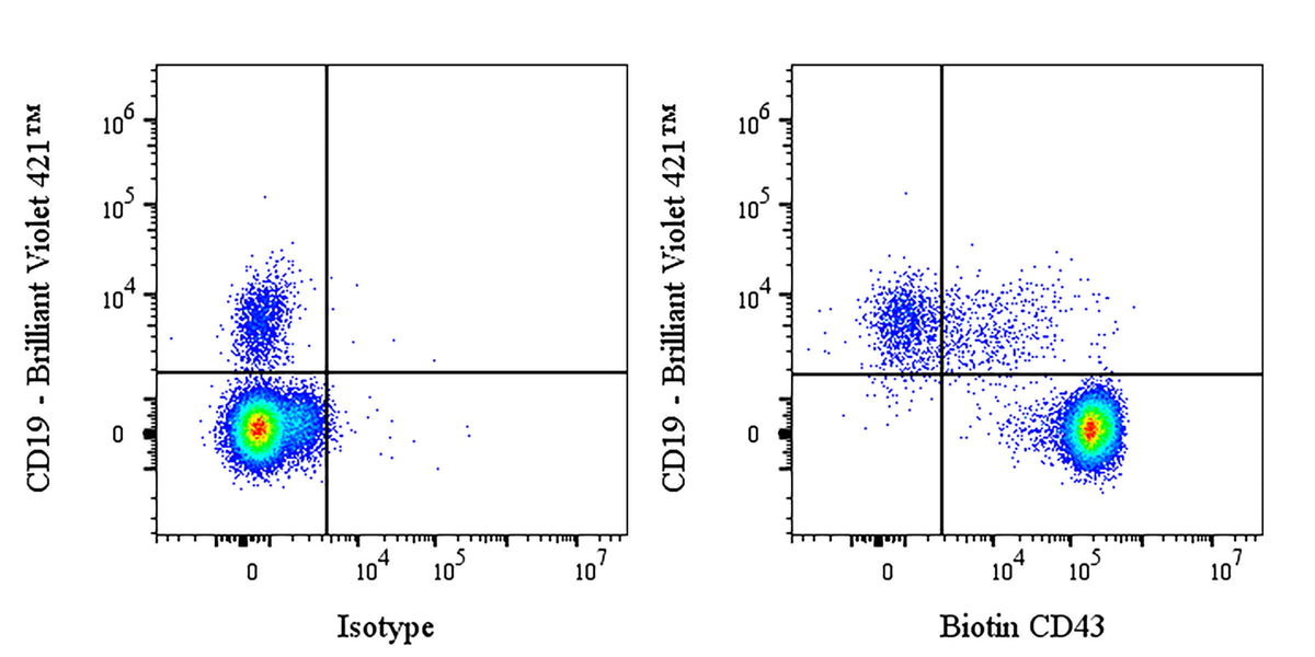Biotin Mouse Anti-Human CD43 Antibody (S-4602)