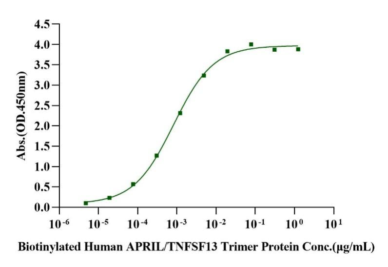 BCMA/TNFRSF17 His Tag Protein, Cynomolgus