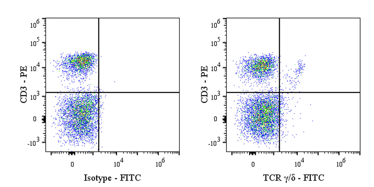 FITC Mouse Anti-Rat TCR γ/δ Antibody (V65)