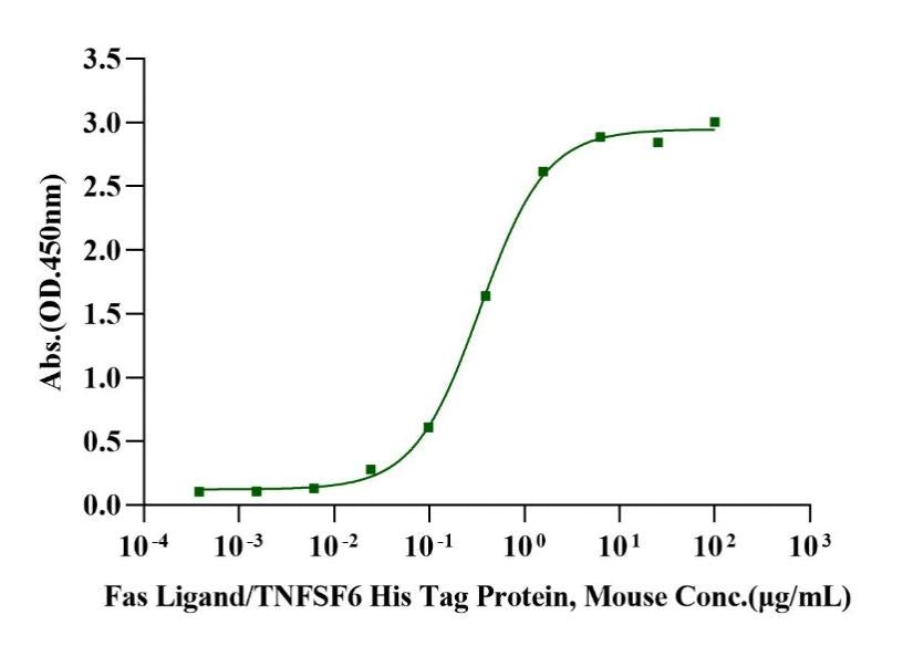 Fas/TNFRSF6/CD95 Fc Chimera Protein, Rat