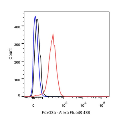FoxO3a Recombinant Rabbit mAb (S-465-41)