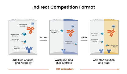 Human IgG (Total) OneStep ELISA Kit (broad range)