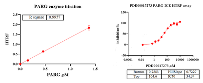PARG His Tag Protein, Human