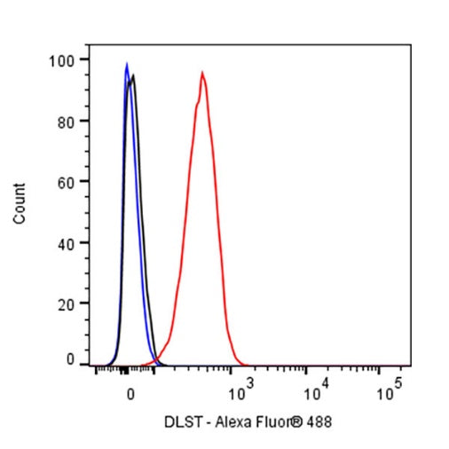DLST Rabbit Polyclonal Antibody