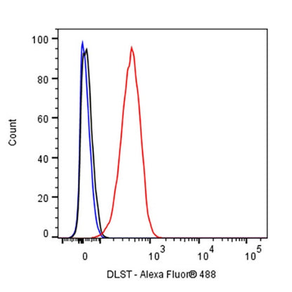 DLST Rabbit Polyclonal Antibody