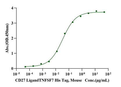 CD27 Fc Chimera Protein, Mouse