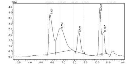 CDK3/CycE1 Protein