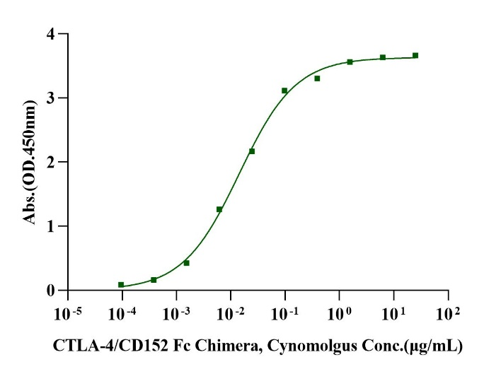CTLA-4/CD152 Fc Chimera Protein, Cynomolgus