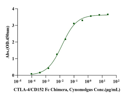 CTLA-4/CD152 Fc Chimera Protein, Cynomolgus