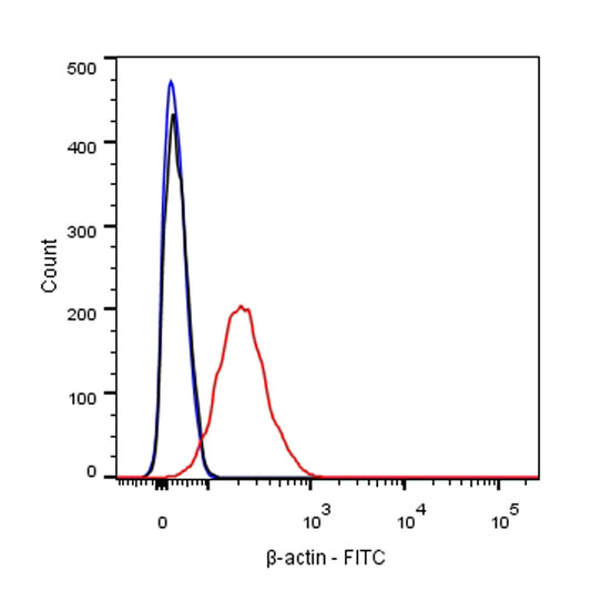 β-actin Recombinant Rabbit mAb (FITC conjugate) (SDT-R015)