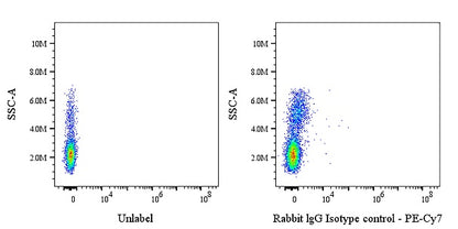 PE-Cy7 Rabbit IgG Isotype Control Antibody (S-R058)