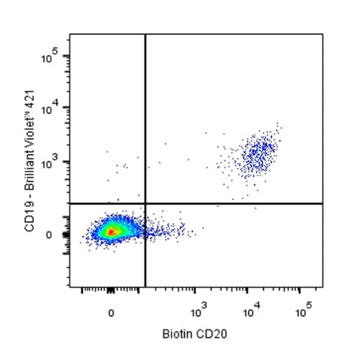Biotin Mouse Anti-Human CD20 Antibody (2H7)