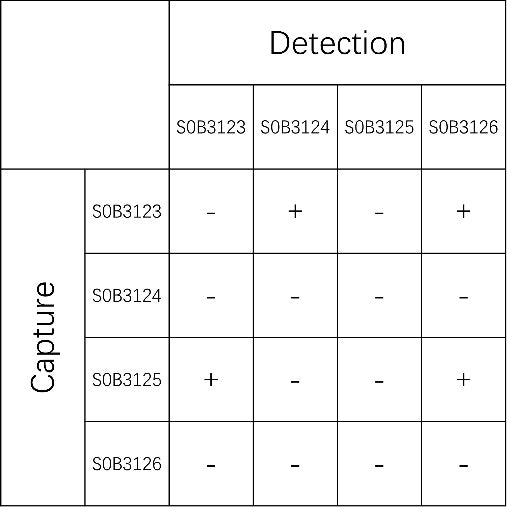 Haptoglobin Recombinant Rabbit mAb (SDT-339-105)