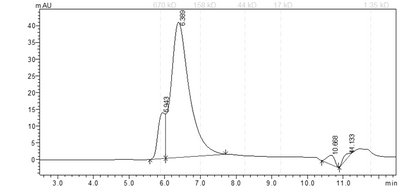 CDK12/Cyclin K Protein
