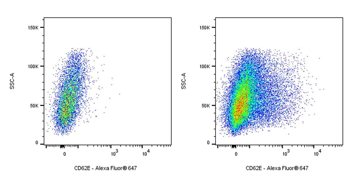 Alexa Fluor® 647 Mouse Anti-Human CD62E Antibody (S-2909)