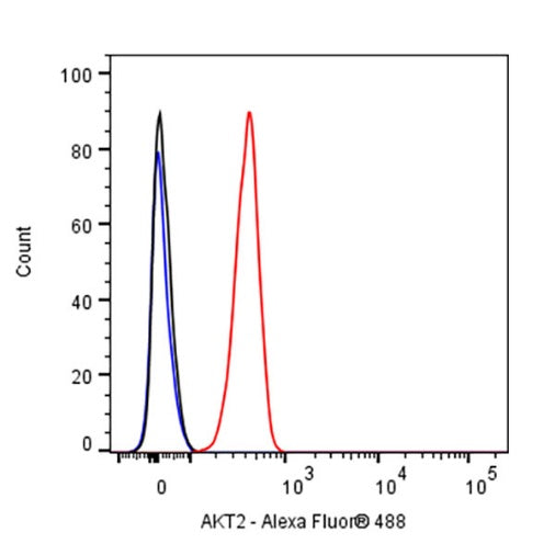 AKT2 Recombinant Rabbit mAb (S-2617-6)