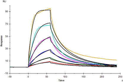 IL-2R alpha/CD25 Fc Chimera Protein, Human