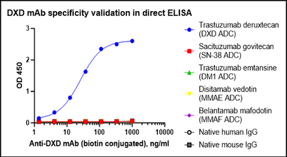 Monoclonal Anti-DXD Antibody
