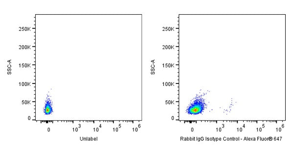 Alexa Fluor® 647 Rabbit IgG Isotype Control Antibody (S-R058)